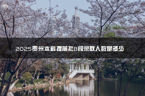 2025贵州本科提前批B段录取人数是多少