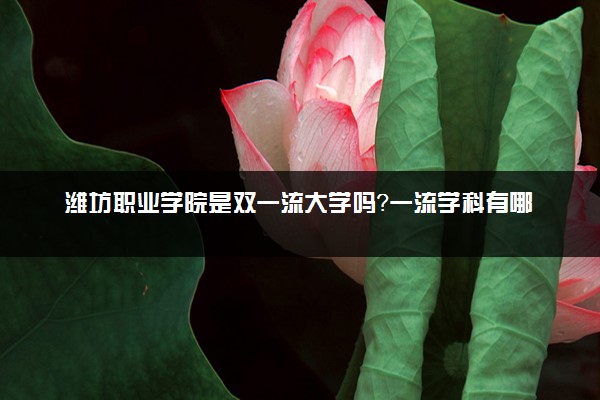 潍坊职业学院是双一流大学吗？一流学科有哪些及历年分数线位次