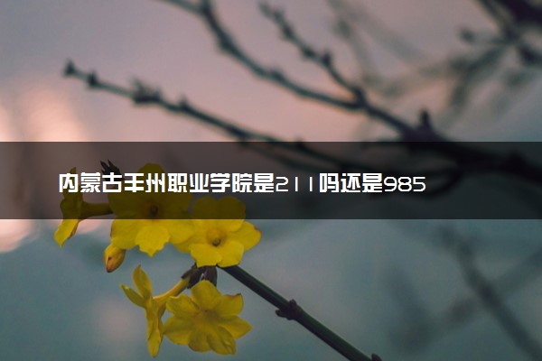 内蒙古丰州职业学院是211吗还是985 怎么样值得读吗及学长学姐评价