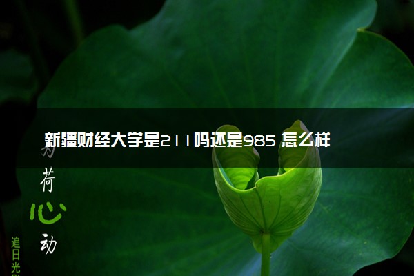 新疆财经大学是211吗还是985 怎么样值得读吗及学长学姐评价