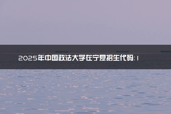 2025年中国政法大学在宁夏招生代码：1113 专业代码及报考指南