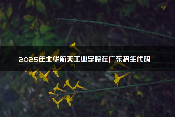 2025年北华航天工业学院在广东招生代码及专业代码 北华航天工业学院广东代码是多少？怎么查询？