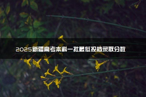2025新疆高考本科一批最低投档录取分数线是多少