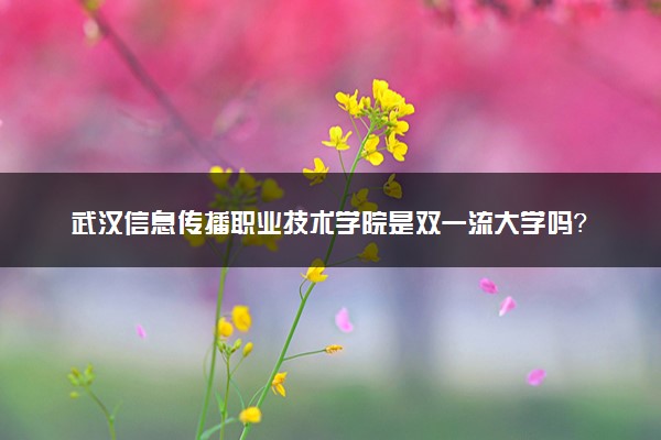 武汉信息传播职业技术学院是双一流大学吗？一流学科有哪些及历年分数线位次