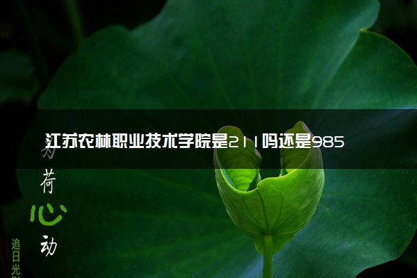 江苏农林职业技术学院是211吗还是985 怎么样值得读吗及学长学姐评价