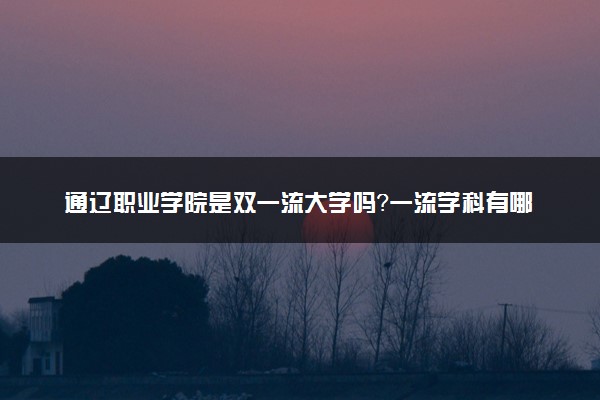 通辽职业学院是双一流大学吗？一流学科有哪些及历年分数线位次
