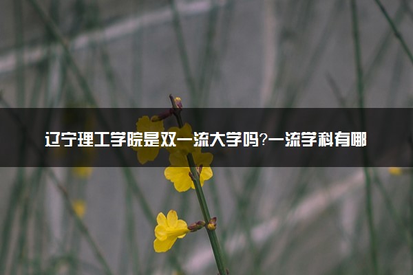 辽宁理工学院是双一流大学吗？一流学科有哪些及历年分数线位次