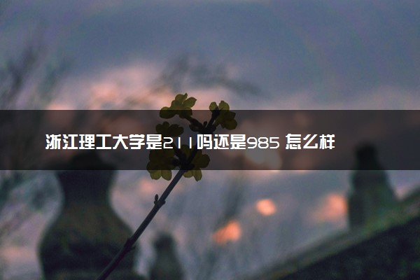 浙江理工大学是211吗还是985 怎么样值得读吗及学长学姐评价