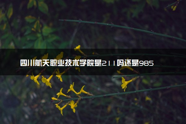 四川航天职业技术学院是211吗还是985 怎么样值得读吗及学长学姐评价