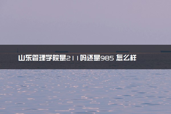 山东管理学院是211吗还是985 怎么样值得读吗及学长学姐评价
