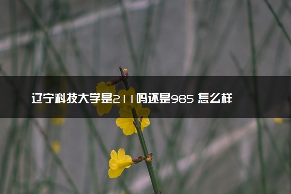 辽宁科技大学是211吗还是985 怎么样值得读吗及学长学姐评价