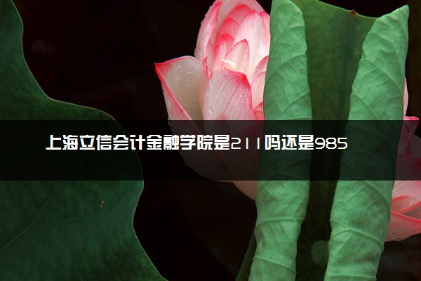 上海立信会计金融学院是211吗还是985 怎么样值得读吗及学长学姐评价