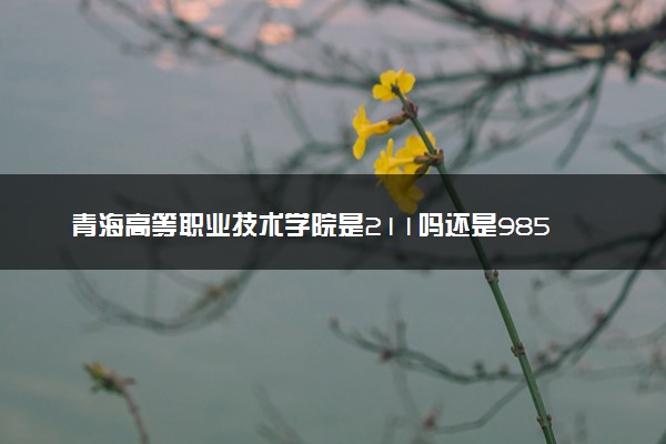 青海高等职业技术学院是211吗还是985 怎么样值得读吗及学长学姐评价