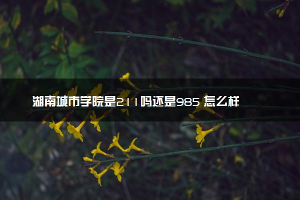 湖南城市学院是211吗还是985 怎么样值得读吗及学长学姐评价