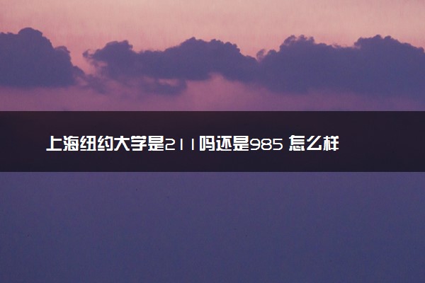 上海纽约大学是211吗还是985 怎么样值得读吗及学长学姐评价