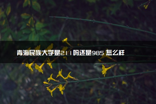 青海民族大学是211吗还是985 怎么样值得读吗及学长学姐评价