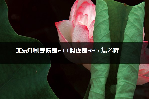 北京印刷学院是211吗还是985 怎么样值得读吗及学长学姐评价