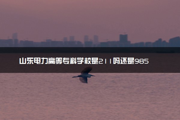 山东电力高等专科学校是211吗还是985 怎么样值得读吗及学长学姐评价