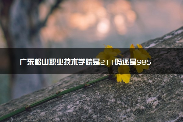 广东松山职业技术学院是211吗还是985 怎么样值得读吗及学长学姐评价