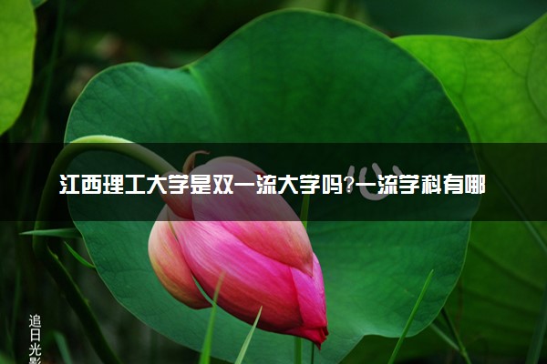 江西理工大学是双一流大学吗？一流学科有哪些及历年分数线位次