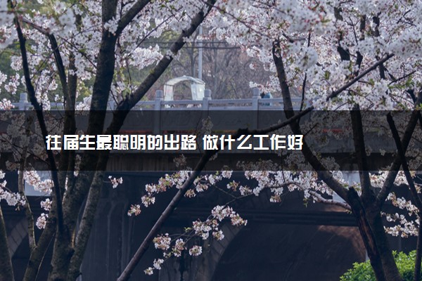 往届生最聪明的出路 做什么工作好