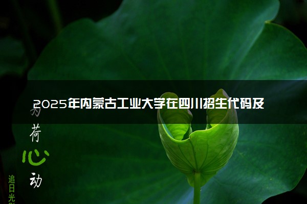 2025年内蒙古工业大学在四川招生代码及专业代码 内蒙古工业大学四川代码是多少？怎么查询？