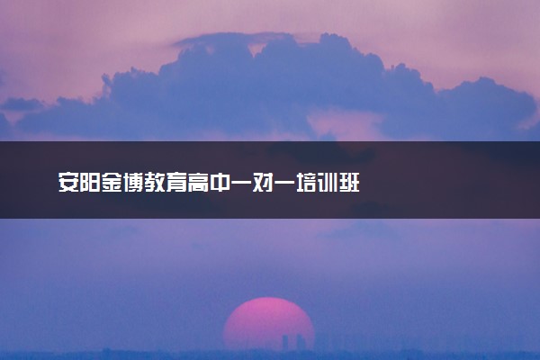 安阳金博教育高中一对一培训班