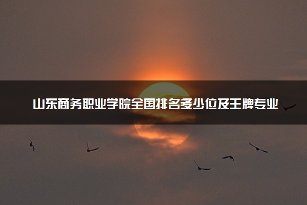山东商务职业学院全国排名多少位及王牌专业有哪些？