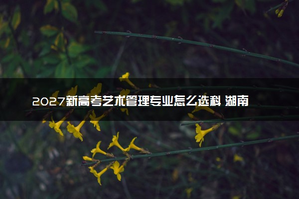 2027新高考艺术管理专业怎么选科 湖南选科要求及必选科目有哪些