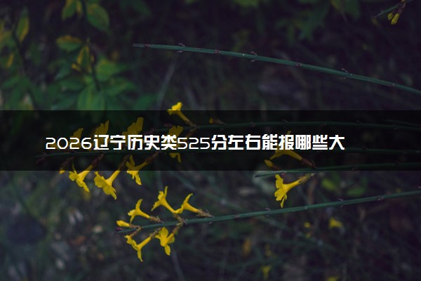 2026辽宁历史类525分左右能报哪些大学 可以上院校及位次（公办、民办）