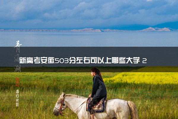 新高考安徽503分左右可以上哪些大学 2026院校名单推荐