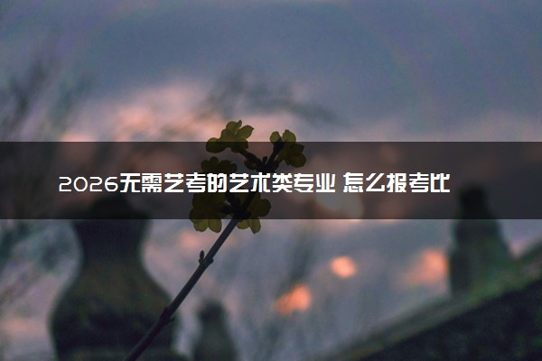 2026无需艺考的艺术类专业 怎么报考比较好