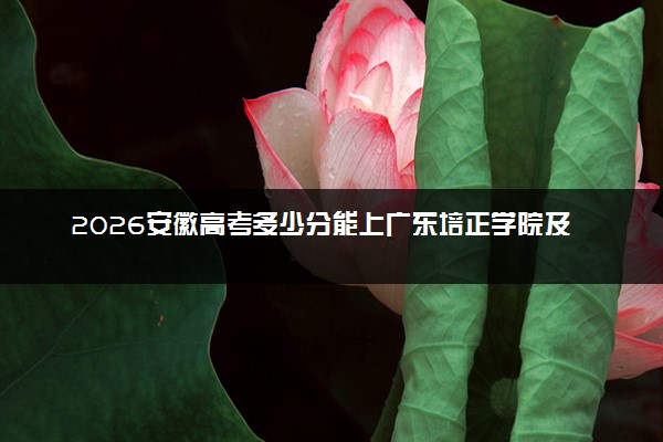 2026安徽高考多少分能上广东培正学院及专业？最低461分附录取分数线
