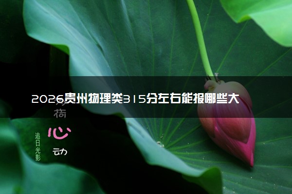 2026贵州物理类315分左右能报哪些大学 可以上院校及位次（公办、民办）