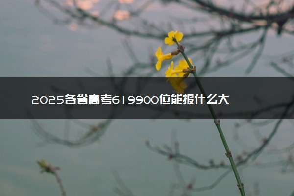 2025各省高考619900位能报什么大学？ 619900位次对应4所院校（2026冲稳保学校推荐）