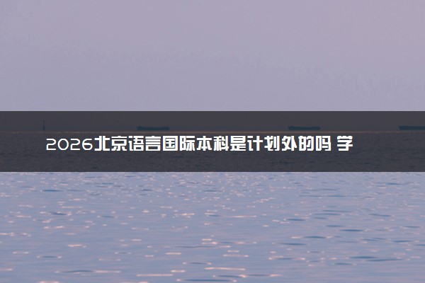 2026北京语言国际本科是计划外的吗 学历国内认可吗