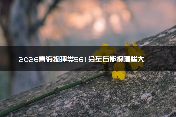 2026青海物理类561分左右能报哪些大学 可以上院校及位次（公办、民办）