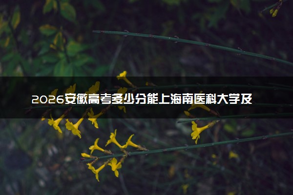 2026安徽高考多少分能上海南医科大学及专业？最低469分附录取分数线