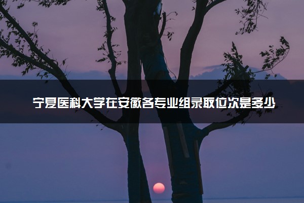 宁夏医科大学在安徽各专业组录取位次是多少 最低录取54524位（2026年参考）